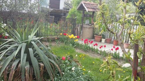 Zalaegerszeg Apartment | Álom Kuckó Apartman