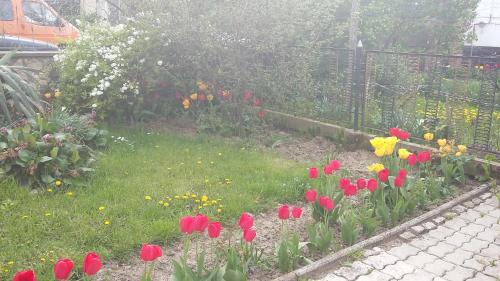 Zalaegerszeg Apartment | Álom Kuckó Apartman