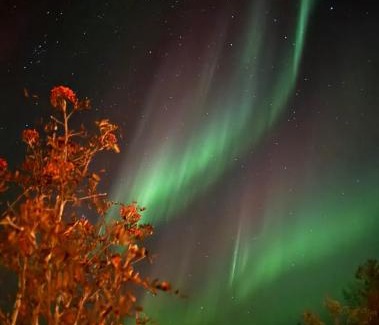 Selfoss Cabin | Ásahraun Guesthouse