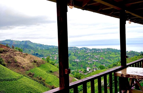 Ardesen House | Çavdi Bungalov