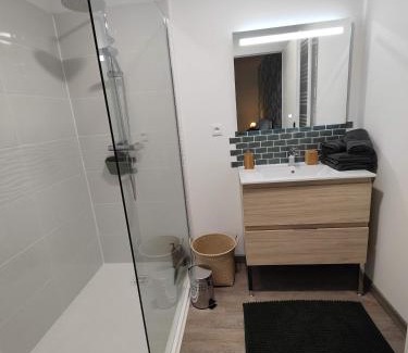 Albi House | Ô Loft - 3 chambres avec 3 salles de bains - parking - climatisation