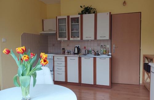 Hejnice Apartment | Útulný byteček v Hejnicích