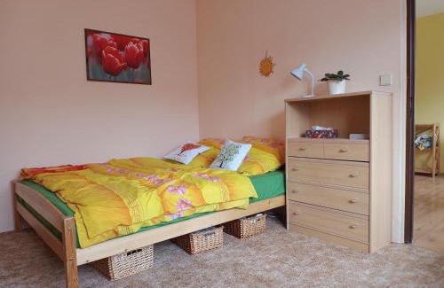 Hejnice Apartment | Útulný byteček v Hejnicích