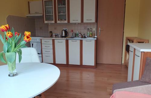 Hejnice Apartment | Útulný byteček v Hejnicích