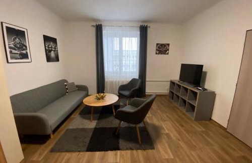 Plzen 2-Slovany Apartment | Černá Růže - Apartmán 3