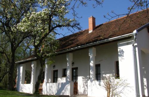 Felsoszenterzsebet House | Őrségi Tornácos Vendégfogadó