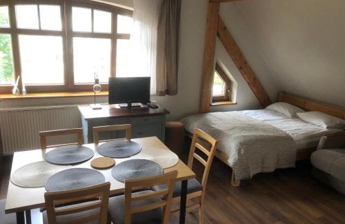 Zieleniec Apartment | Śnieżka