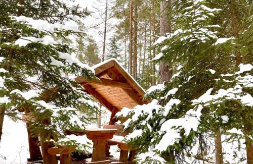 gmina Blizyn Ski Chalet | Świętokrzyskie Zacisze
