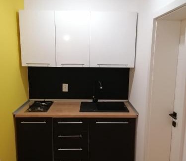 Drinovci Apartment | Šimun&Jakov