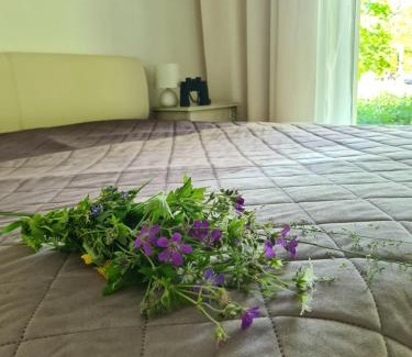 Hajnowka Apartment | Żurawie gniazdo, elegancki zakątek w Puszczy Białowieskiej