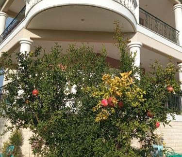 Aridaia Apartment | Η Αυλή