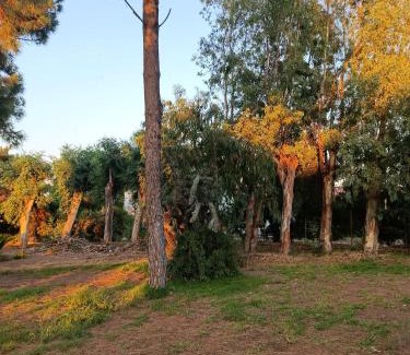 Lakopetra House | Κτήμα Εμιαλη