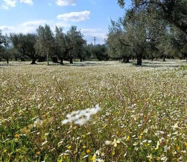 Arfara Villa | Μεζονέτα 5 υπνοδωμάτια, πλήρως εξοπλισμένη και με φορτιστή ηλεκτρικού αυτοκινήτου