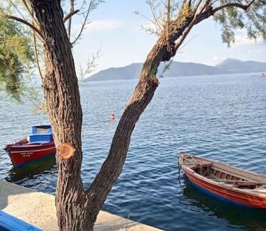 Trikeri House | Μπροστά στο ναυάγιο Καλή τύχη