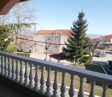 Kozani Villa | Παλατι Λευκοβρυση