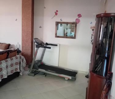 Kozani Villa | Παλατι Λευκοβρυση