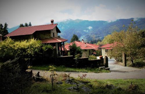 Elati House | Τα Πέτρινα της Ελάτης - Petrina Elatis