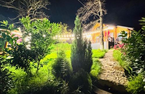 Tbilisi House | Деревянный дом