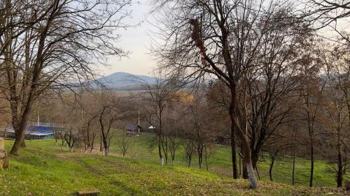 Transcarpathia Hotel | Лісова Дача