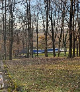 Transcarpathia Hotel | Лісова Дача