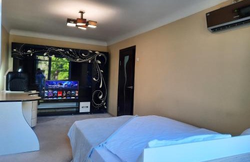 Sukhinovka Apartment | Один каштан Мережа Alex Apartments Безконтактне заселення 24-7