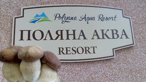 Polyana House | Поляна Аква Резорт
