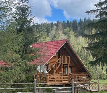 Palyanytsya Cabin | Садиба Урочище Луг