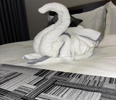 Nejran Hotel | المنظر الجميل للشقق الفندقية