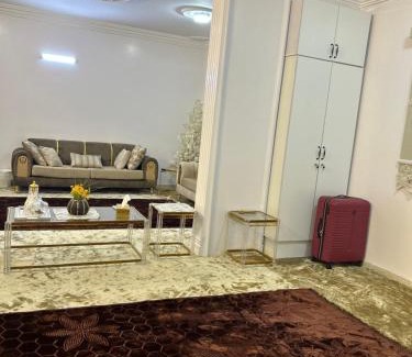 Medina Apartment | شقة العقيق عروة alaqeeq apartments