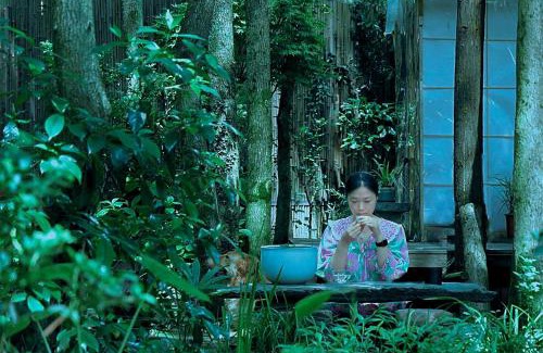 Changjiang County House | 景德镇树园心舍民宿 Forest Haven B&B