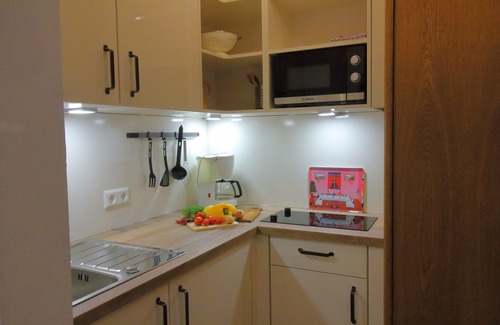 Reit im Winkl Apartment | (05) Ein-Raum-Ferienwohnung 32qm, Dusche/WC, Kochnische, Balkon
