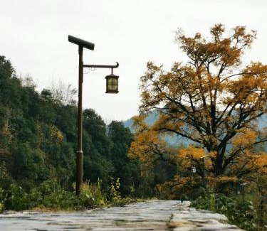 Tangkou Town Bed & Breakfast | 0517 Boutique Hotel