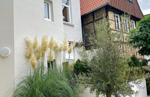 Burgsteinfurt Apartment | 1 Bedroom Apartment in Steinfurt