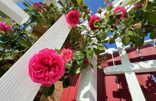 Rowland Heights House | 1 bedroom in a quiet neighborhood near the main street - Room B