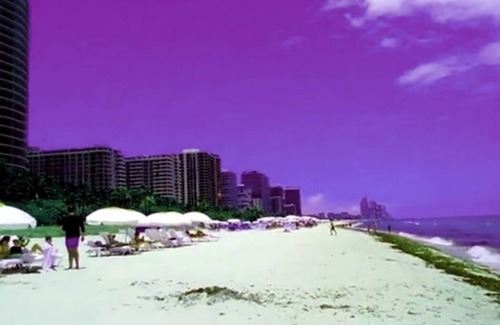 North Miami Cottage | 1 bedroom Miami Beach Florida.