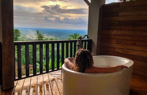 Forest Home Apartment | 1 bedroom suite in an eco friendly resort with jungle view
