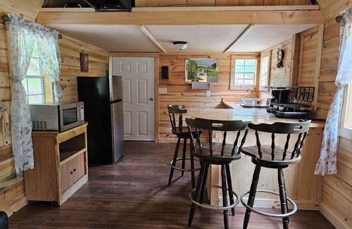 Freeman Cabin | 1 BR/1BR Lofted Cabin West Virginia Hatfield McCoy ATV Trails