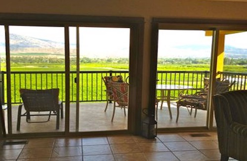Okanagan-Similkameen House | 1 BR guest house overlooking a beautiful vineyard