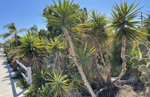 City Heights House | 10 Min to Downtown, tranquil 2 BR House with patio and deck, free parking