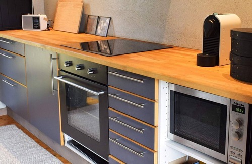 Nore og Uvdal House | 10 person holiday home in TUNHOVD