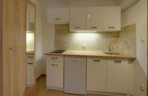 Szklarska Poreba Apartment | 100 m² Apartment ∙ 4 bedrooms ∙ 11 guests