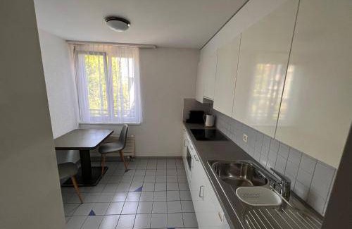 Herisau Apartment | 100 m² Apartment ∙ 2 bedrooms ∙ 6 guests