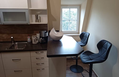 Schleiz Apartment | 105m² Dachgeschosswohnung in Bester Lage