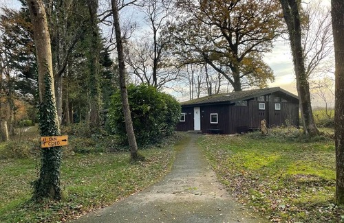 Cenarth Cabin | 11 Tan-y-coed Woodland Lodge