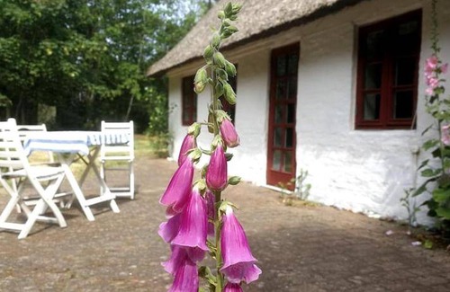 Ribe Hostel | 135 m² Hostel ∙ 3 bedrooms ∙ 8 guests