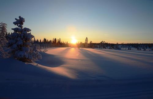 Ljordal Apartment | 15 - Fulufjellets nasjonalparker - snø - alpint - langrenn - snøscooter