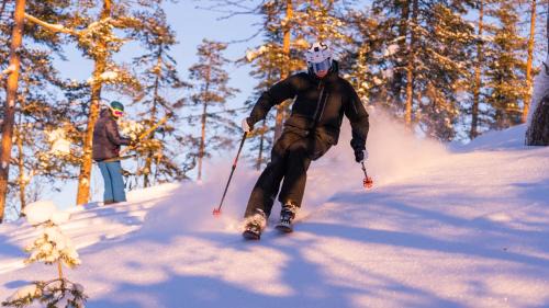 Ljordal Apartment | 15 - Fulufjellets nasjonalparker - snø - alpint - langrenn - snøscooter