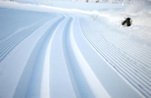 Ljordal Apartment | 15 - Fulufjellets nasjonalparker - snø - alpint - langrenn - snøscooter
