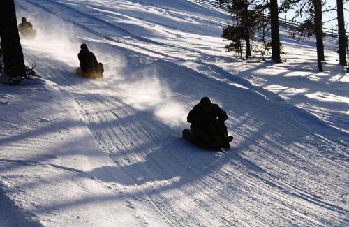 Ljordal Apartment | 15 - Fulufjellets nasjonalparker - snø - alpint - langrenn - snøscooter
