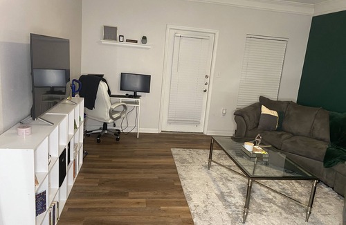 Charlotte Apartment | 15 minutes to Uptown and Southend area! Close to all the food and festivities!